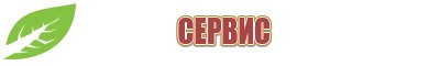 Вертебро Денас